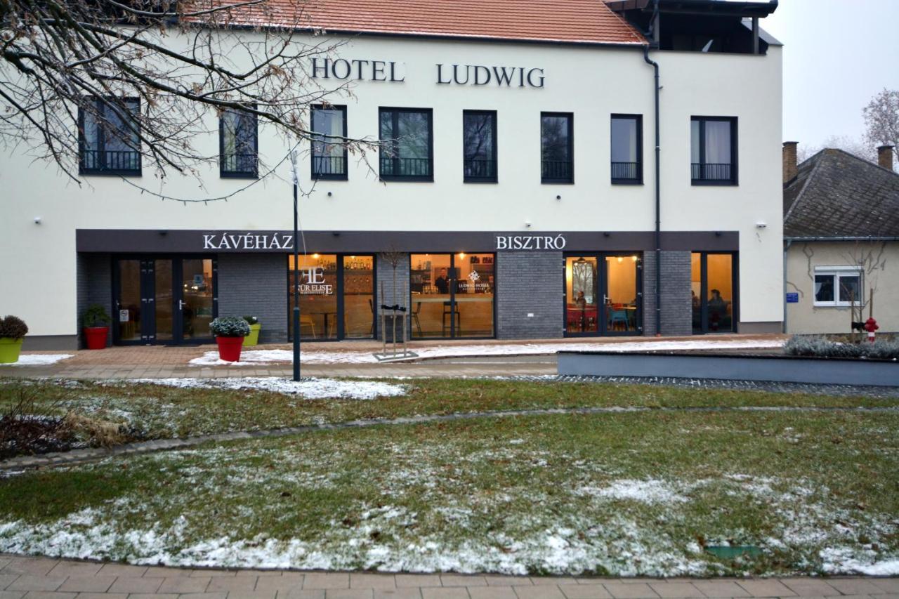 Ludwig Hotel Martonvasar Exterior foto